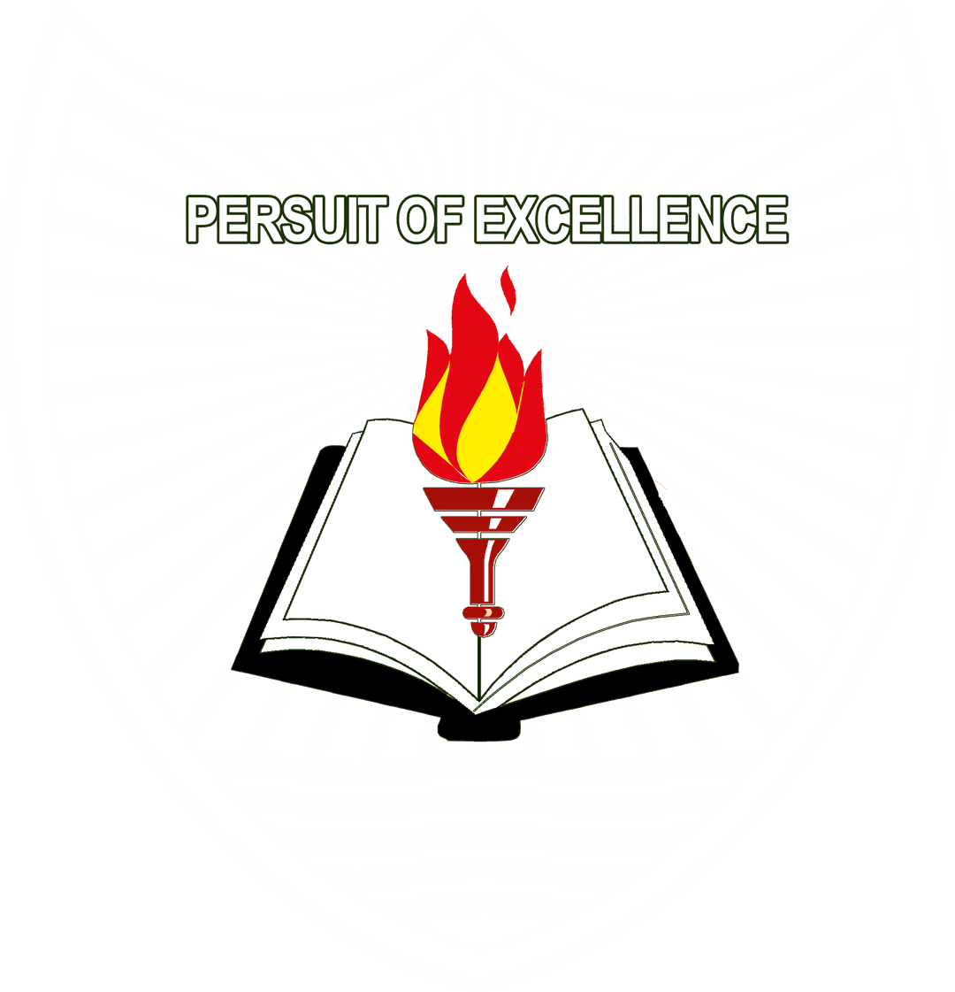 M.S. Naz High School Logo