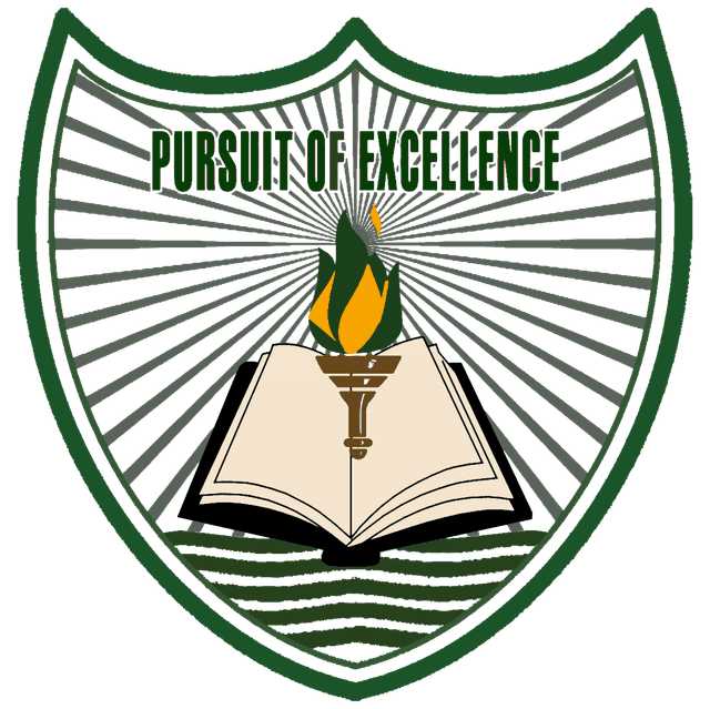 Pursuit of Excellence Logo